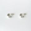 Shell earrings