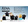 Kena bridge of spirits - deluxe edition jeu ps4