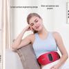 Pangao Mid-Frequency Pulse Waist Massager