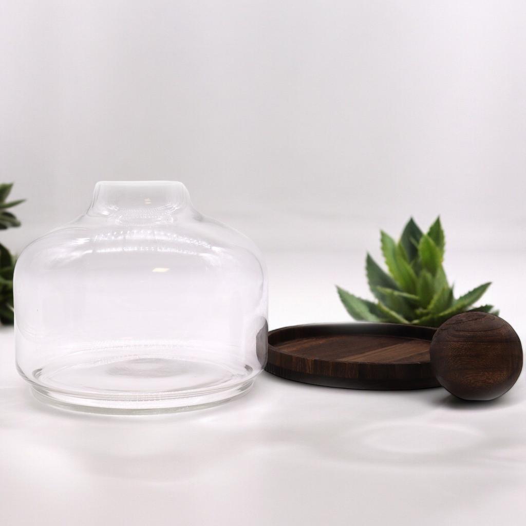 Terrarium Extra-Large Ball Top Dark Tung Wood
