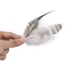 50/100Pcs Natural Pheasant Feathers Diy Crafts Jewelry Accessory Decoration Rooster Plumes High Quality