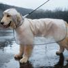 Adjustable Chest Closure Dog Raincoat Vision Dog Raincoat Waterproof Dog Raincoat with Hood Leash Hole for Dogs for Puppies
