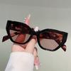 Oversized Cat Eye Sunglasses Women Fashion Vintage Casual Sun Glasses  New Trendy Stylish Design Decor Sun Glasses