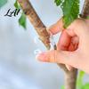 Plant Support Clips Clips Plastic Vine Reusable Tomato Stem Outdoor Training for Vegetables Climbing Plants Garden Trellis Netting Seedlings