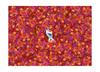 Clementoni IMPOSSIBBLE PUZZLE Disney Frozen Olaf Jigsaw Puzzle, 1000 Pieces, 69cm X 50cm, 5262 [Used]