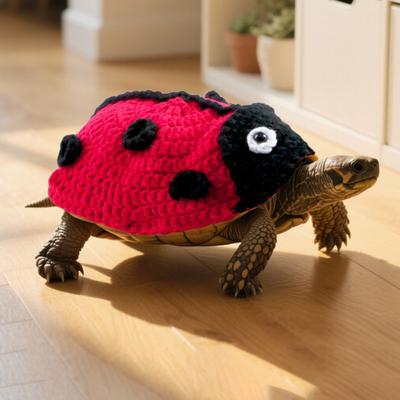 Gestricktes Schildkröten-Outfit Warmer Marienkäfer-Pullover Schildkröten-Verkleidungskostüm mit verstellbarem Riemen für Haustierschildkröte Halloween-Party Cosplay Foto-Requisite
