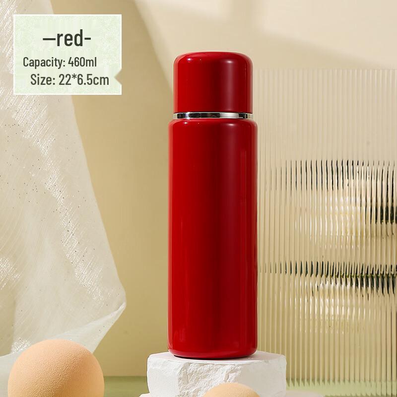 Changqi Stainless Steel Insulated Tea Infuser Bottle