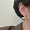 New Stylish Zircon Bag Ear Cuffs: Women's Fashion, Light Luxury, High-End, Versatile, and Trendy Earrings.
