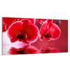 Piano cottura in vetro protettivo 90x52 Orchidea