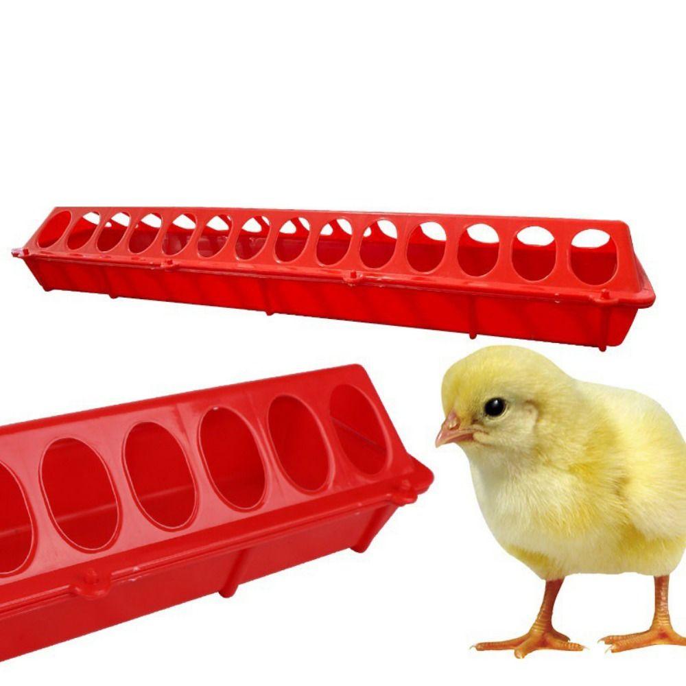 Flip-Top Plastic Bird Feeder Poultry Ground Feeder Pheasant Feeding Bucket Chicken Feed Trough