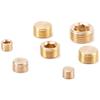 Plastic Mold Tapered Copper Hex Plug - PT British Standard Screw for Water Pipes