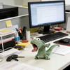 Fun Green Lizard Backpack Charm Keychain Super Cute and Funny Plush Toy Soft Stereoscopic Plush Decoration Toys Surprise Gifts