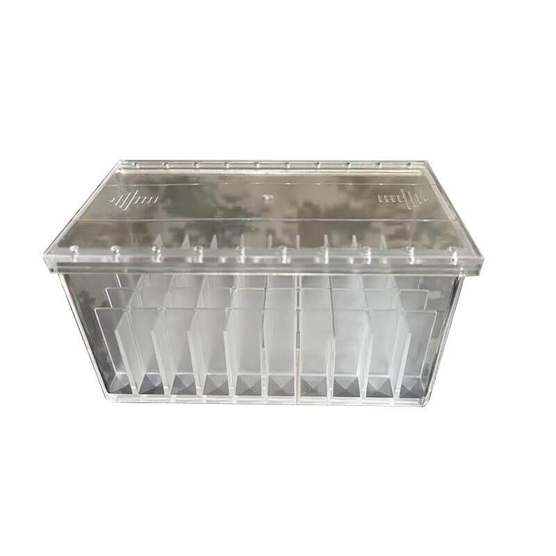 Pathfinder Clear Plastic Ammunition Storage Box
