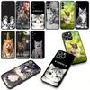 Cover for Apple iPhone 16 15 14 Plus 13 12 Mini 17 Pro Max + ProMax 16E Air 16+ 15+ Coque Phone Case Kitten Cat