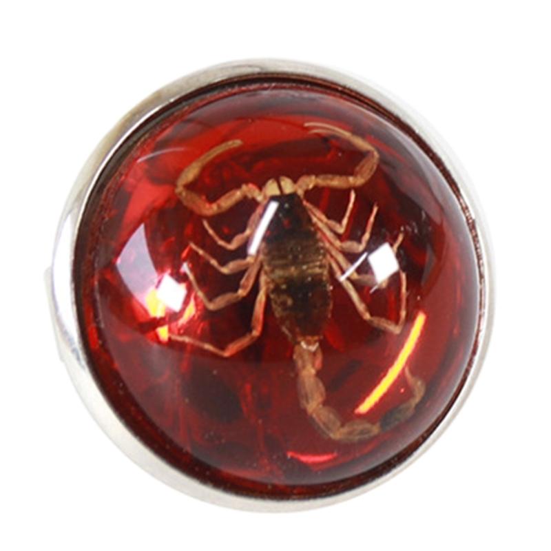 Stylish Round Scorpion Rings Adjsuatble Opening Rings Resin Statement Piece Unique Finger Jewellery Trendy Couple Gift