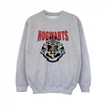 Boys Hogwarts Emblem Sweatshirt