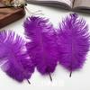 Ostrich Hair Colored Feathers 20-25Cm Wedding Table Lamp Decoration Stage Diy Material Clothing Accessories