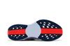 Men's Sneakers Nike Pegasus Plus Ghost Blue Void Bright Crimson Ghost/Blue Void/Bright Crimson/Blue Void
