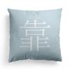 Modern Simple and Popular Short Plush Pillowcase Home Sofa Pillowcase Fun Decorative Pillowcase