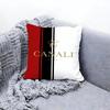 Cclassic C-Canali Cushion Cover Premium Comfort Reversible Pillow Cove -Two in One Design for Any Room & Car Interior