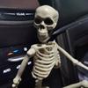 Art Sketch Car Ornaments Car Decoration People Active Model Human Skeleton Model Anatomy Skeleton