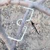 10x Tirador de Ramas de Árbol Doblador de Plantas Esparcidores de Frutas para Jardín