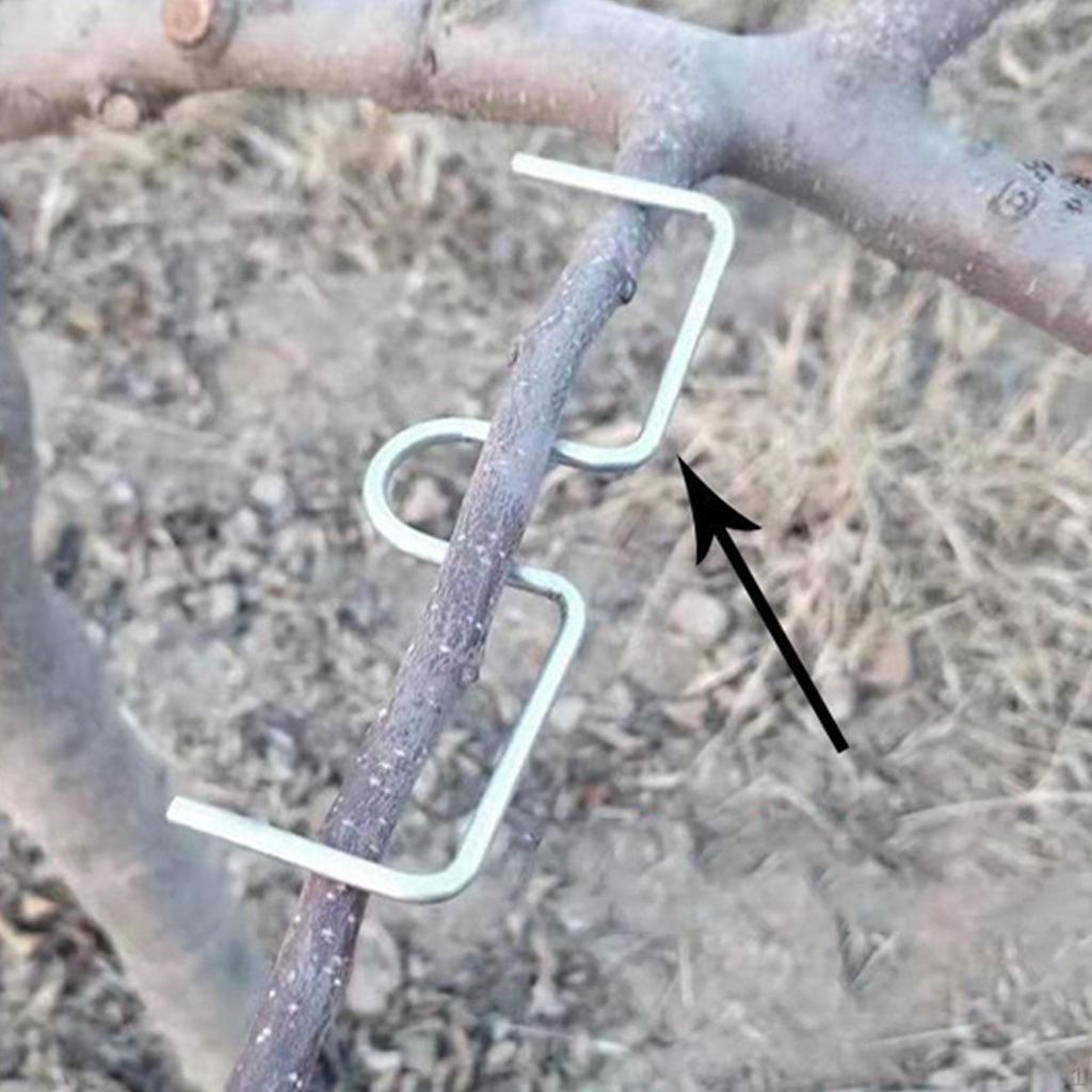 10x Tirante per Rami d'Albero Piegatubi per Piante Spargifrutti per Giardino