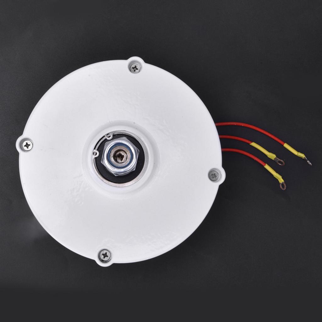 12V 100W Ανεμογεννήτρια Γεννήτρια Μόνιμου Μαγνήτη Τριφασική Σύγχρονη Γεννήτρια NE100Generator