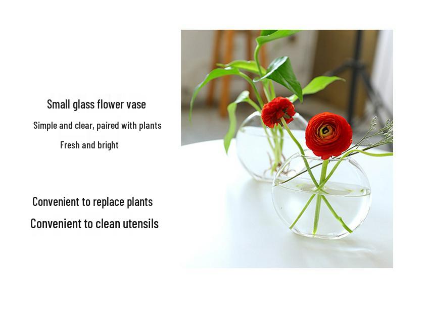 Nordic Wood Art Hydroponic Vase - Pothos Ornament for Living Room & Office Decor