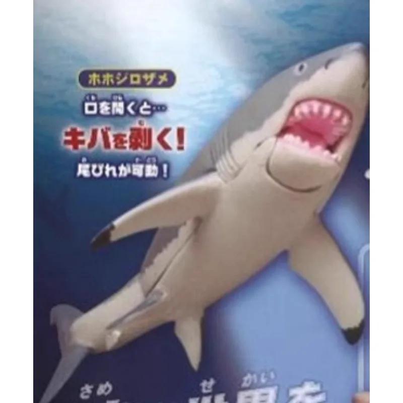 Original Sea Life THE SHARK Gashapon Toys Simulation Figure Model Ornaments Toys
