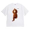Funny Monkey Meme Cotton Tshirt Unisex Summer Short Sleeve Fashion Oversized Unisex Streetwear Trendy Cotton High Quality Soft