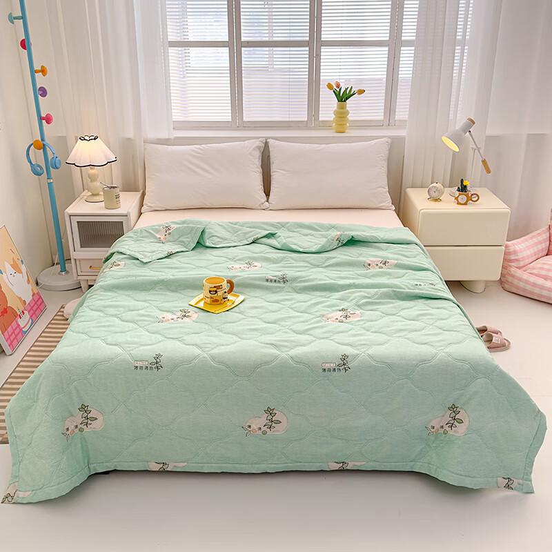 

Refreshing Mint Skin-Friendly Lightweight Quilt