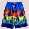 Surfing och dykning – Surf och strandshorts