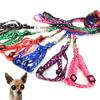 Anti-shock Pet Traction Rope Adjustable Pet Leash Pet Bone Printing Harness Leash  Walking Training