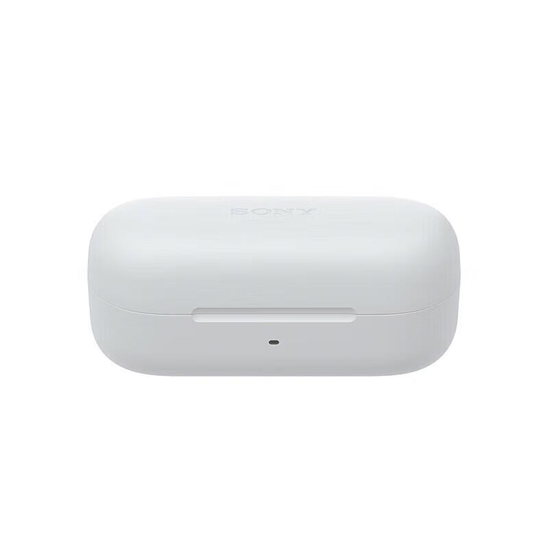 Sony WF-C510 True Wireless Earbuds