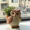 Mini Desktop Plant Container Cute Cartoon Owl Planter Resin Small Planter Pot Decorative Hand Painted Statue Pot for Succulents Indoor Garden