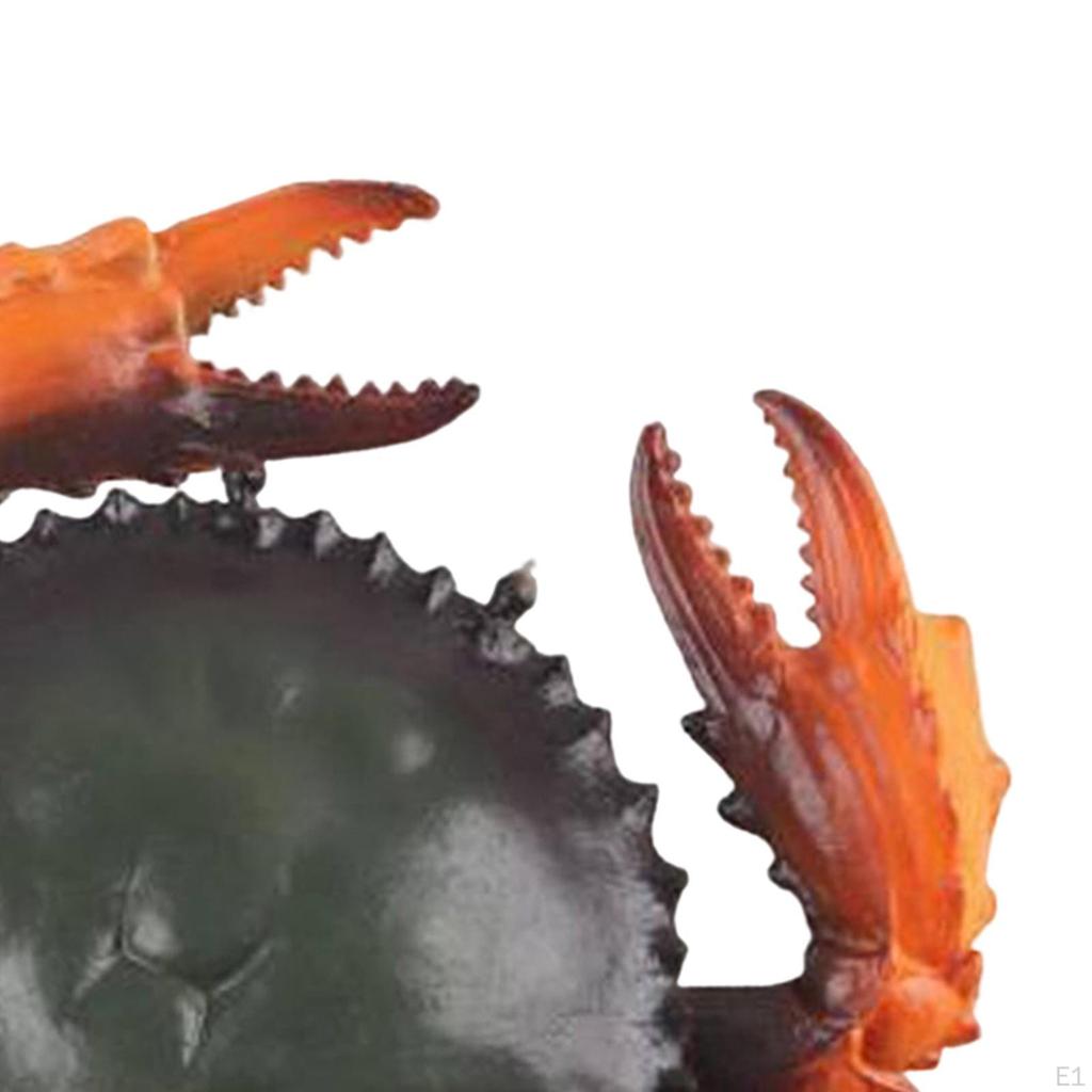 Model Toy, Party Favors Sea Animal Educational Animals for Children