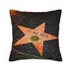 Celines Dions Paris 2026 Pillow Cover  Morden Pillow Case For Couch Sofa Bedroom Graphic Cushion Cover Gift