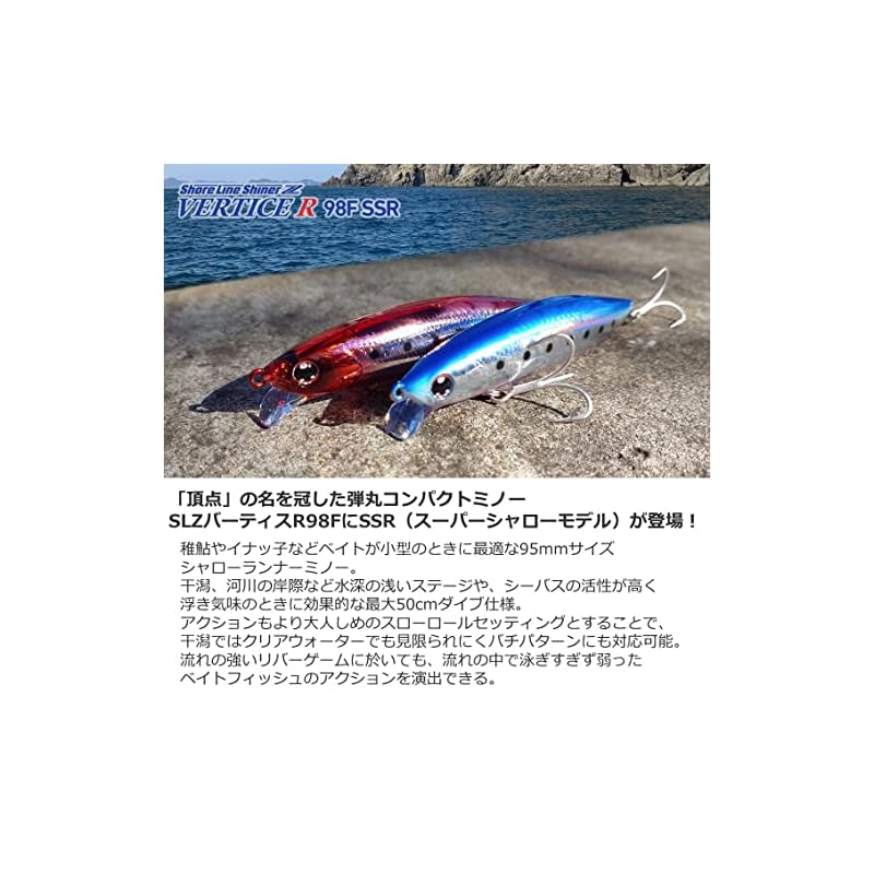 Daiwa Seabass Lure (Super Shallow Model) Shoreline Shiner Z Vertis 98F-SSR A Grikin
