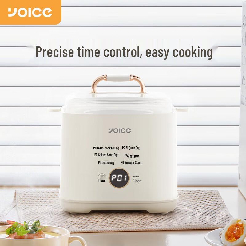 Automatic Electric Egg Cooker CN plug (adapter included)