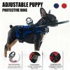 Parachoques de Seguridad Transpirable para Perros Ciegos Arnés Reflectante para Perros Ciegos Collar Anticolisión para Mascotas Seguridad para Mascotas