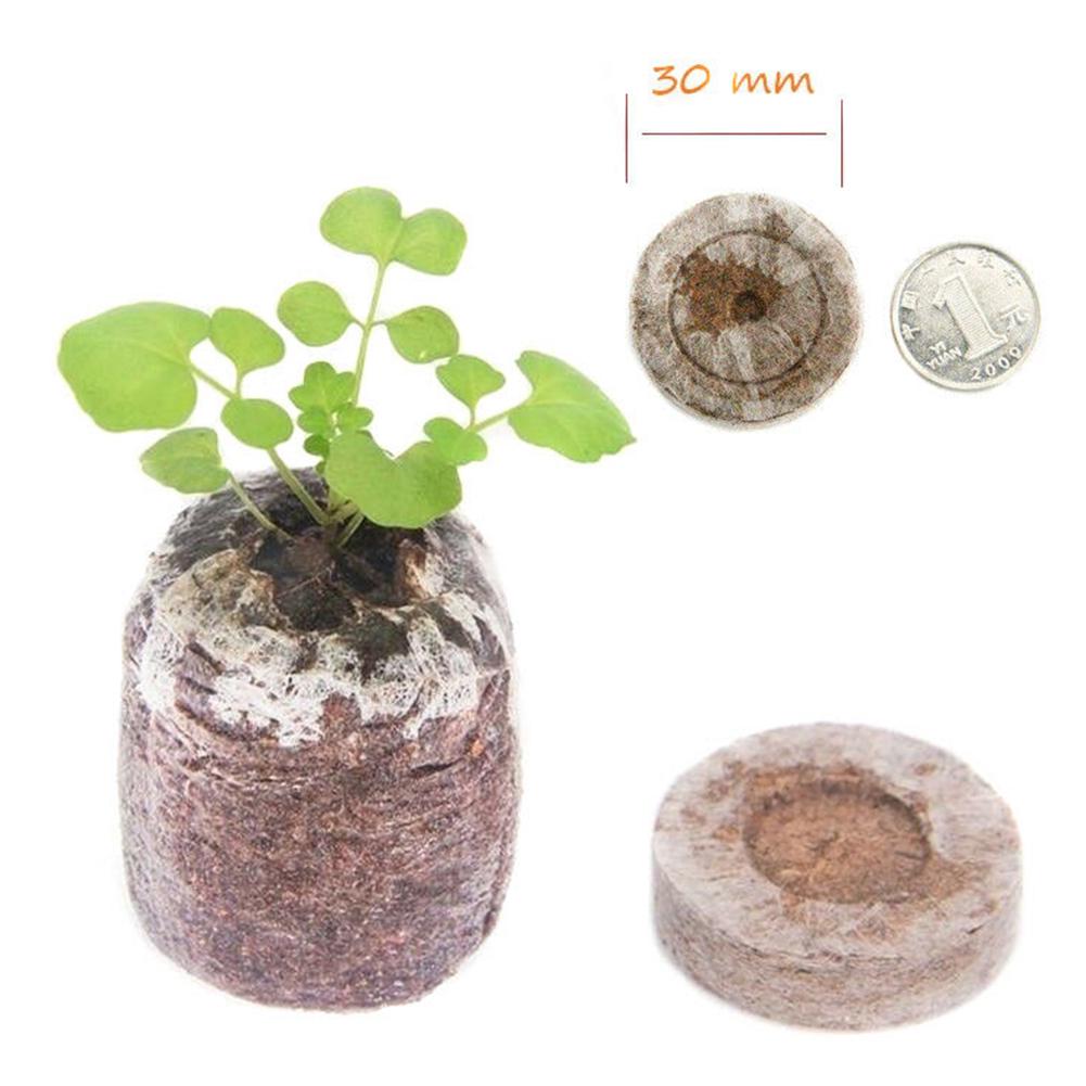 Seed Starter Soil Plugs Plant Fiber Nursery Blocks Peat Soil Pellets