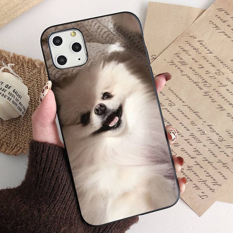 

Чехол для телефона MaiYaCa Pomeranian dogs для iPhone 11 12 13 mini pro XS MAX 8 7 6 6S Plus X 5S SE 2020 XR 13 Pro Max