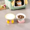 Hand-Painted Ceramic Cat Bowl: Cute, Multi-functional, Slanted for Neck Protection, High-Legged Design Suitable for Food & Water