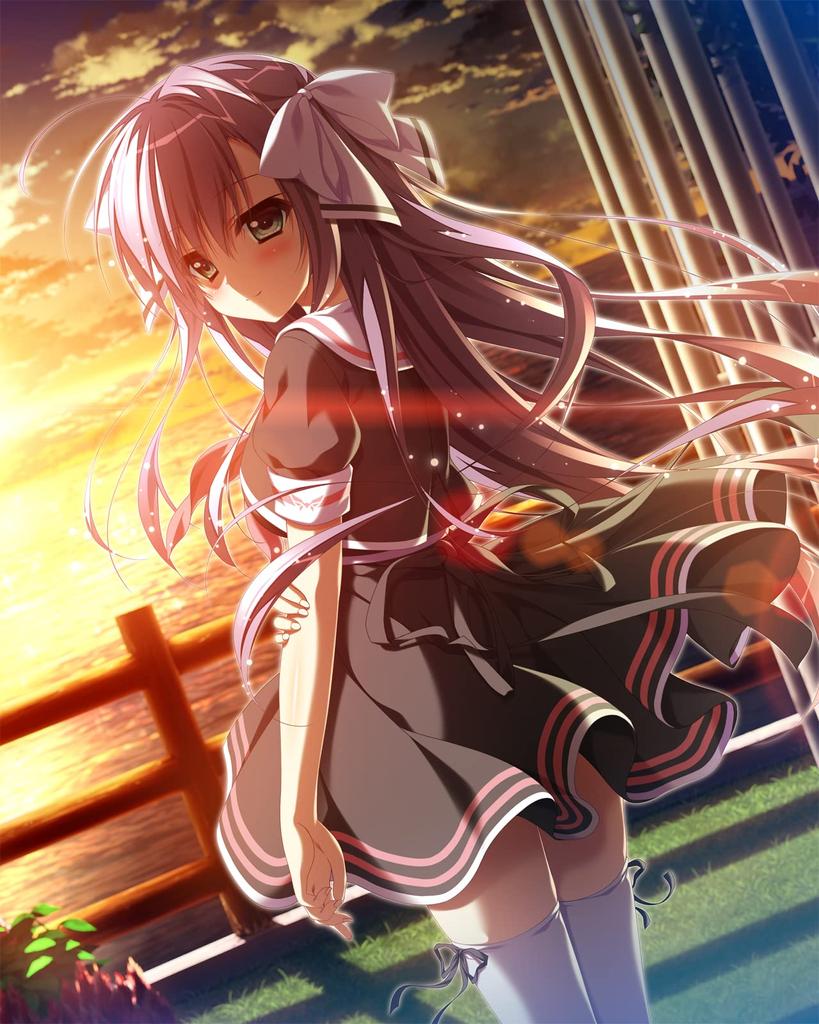 Torino Line Completely Limited Edition Acrylic Ornament Included -Switch [Bonus]