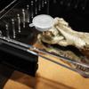 Reptiles Feeding Box Acrylic Breeding Case Clear Insect Mini Habitat