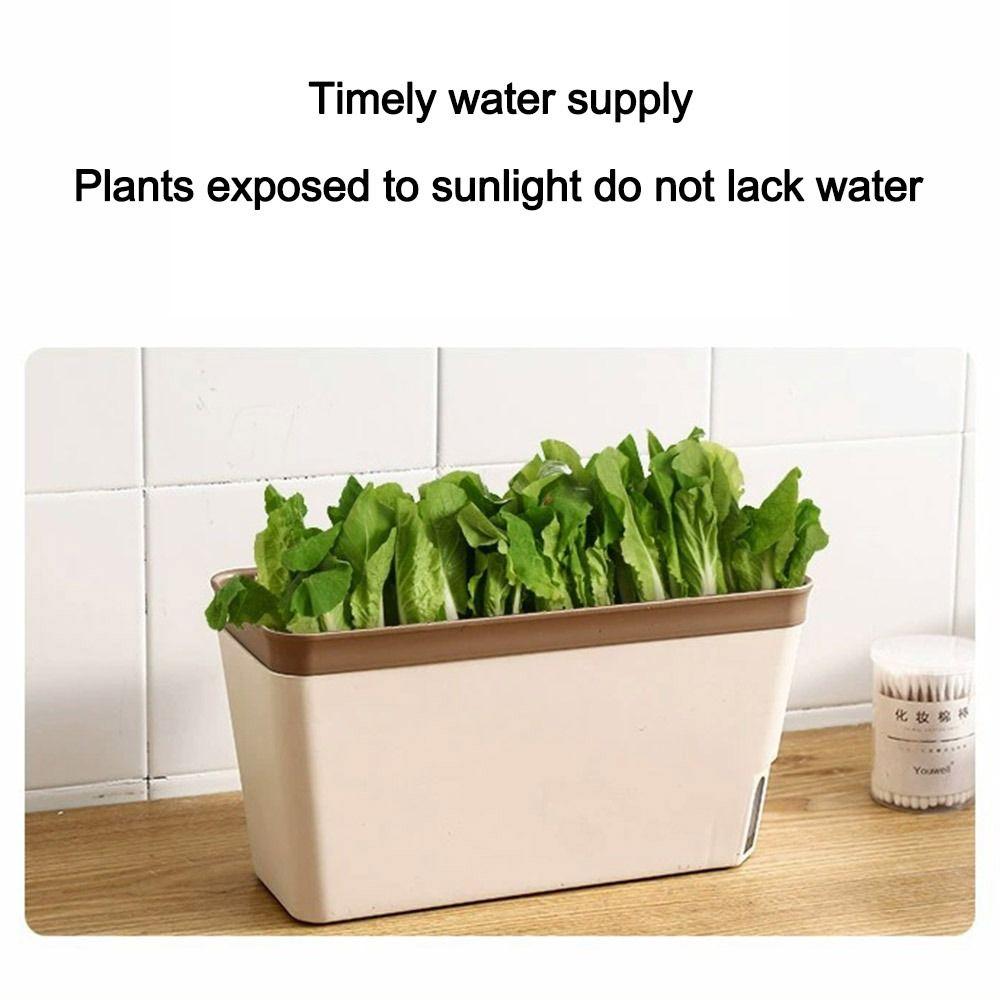 Rectangular Flower Pot Double Layer Self Watering Plant Pot Durable Vegetable Planting Pot