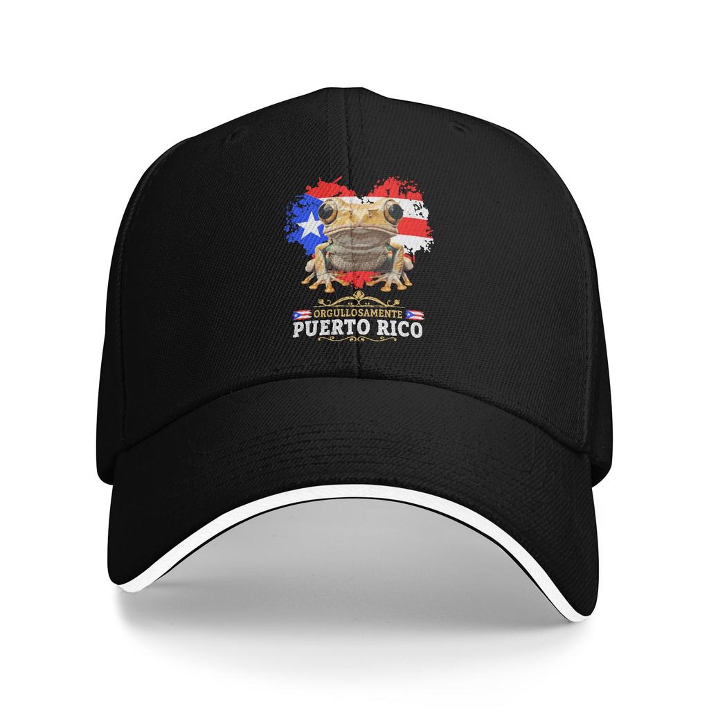 Coqui Frog Puerto Rico Flag Puerto Rican Casual Baseball Cap  Tennis Skate Trucker Hat Fashion Baseball Caps