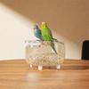 Transparent Parrot Desktop Stand Wide Mouth with Feeder Cups Bird Training Stant Removable Tray Parrot Activity Center