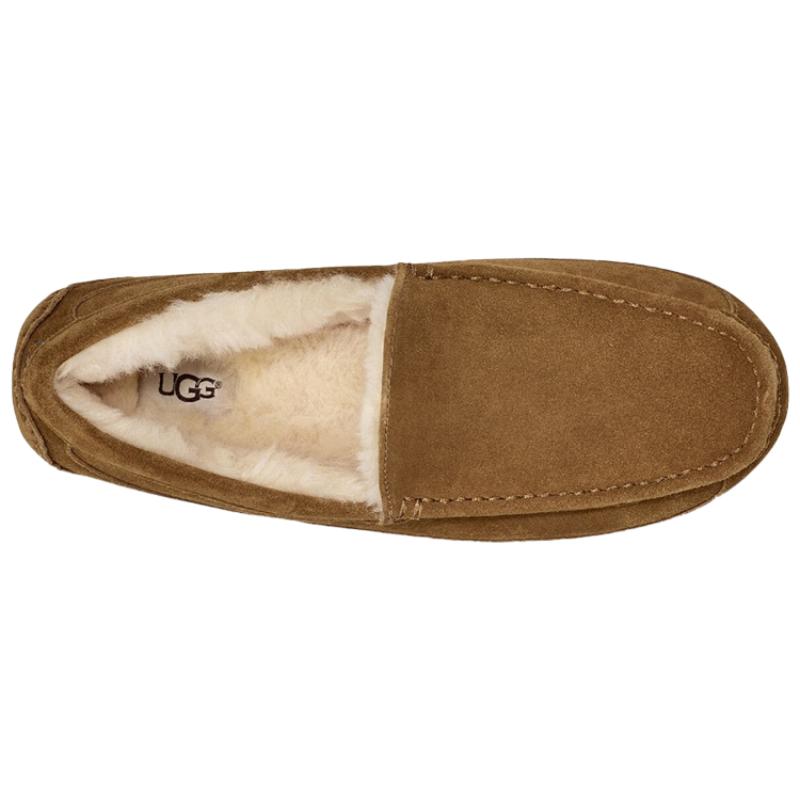 UGG Ascot Slipper Chestnut Sneakers 1101110-CHE